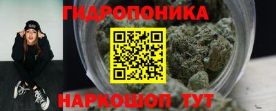 прущие крисы Новокубанск