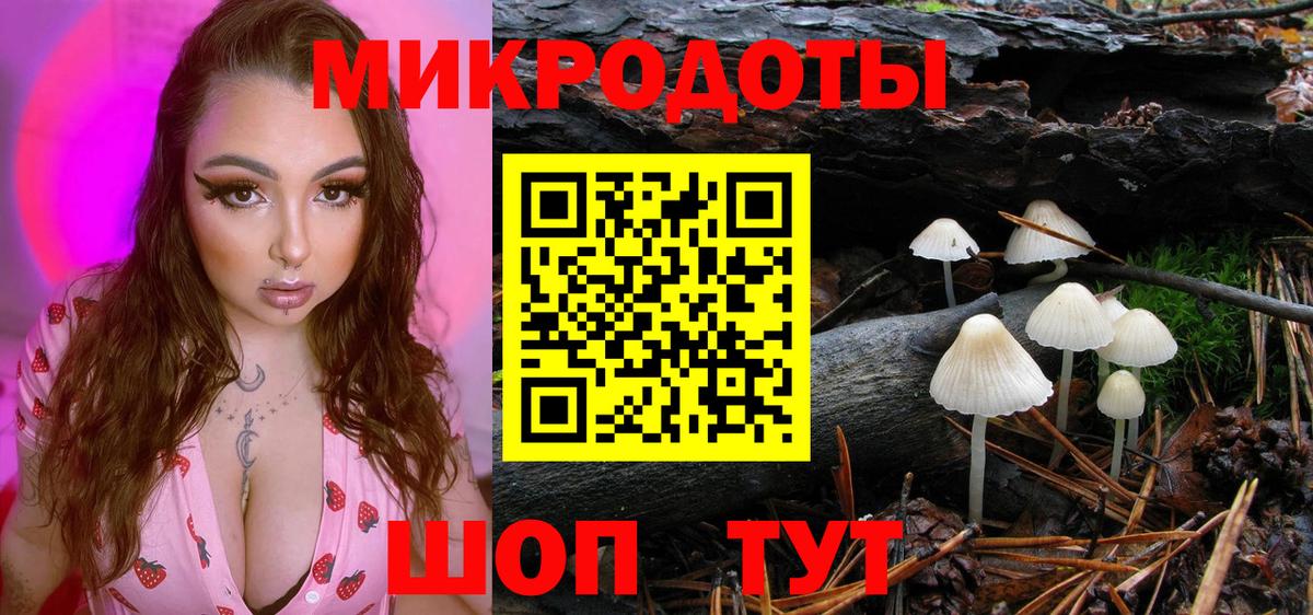 Псилоцибиновые грибы прущие грибы Гудермес