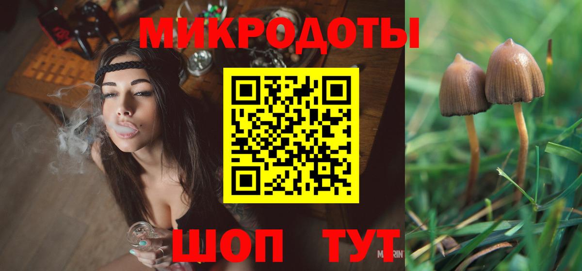 Гудермес  Галлюциногенные грибы MAGIC MUSHROOMS  Вход с VPN 