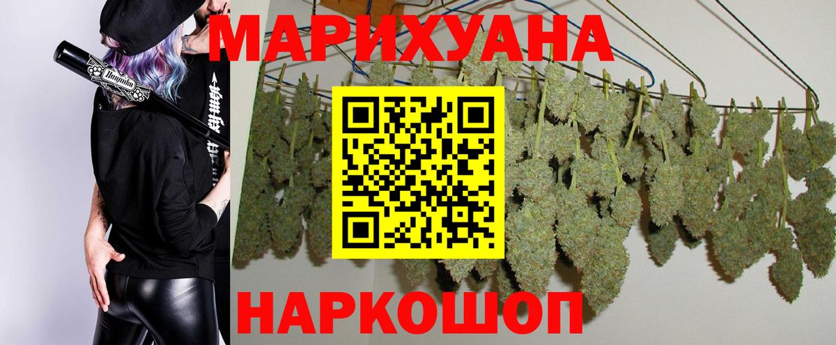 Бошки марихуана сатива Гудермес